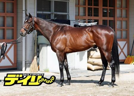 マテンロウゲイル　評価　Ａ