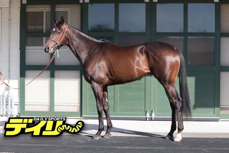 ライヒスアドラー　評価　Ｂ