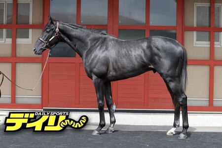 ゾロアストロ　評価　Ｂ