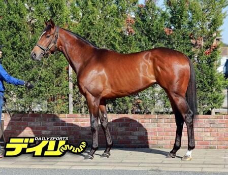 ロードフィレール　評価　Ａ