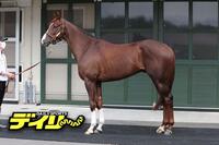 グリーンエナジー