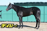 リアライズシリウス