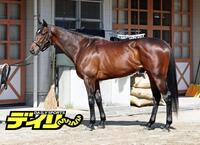 マテンロウゲイル