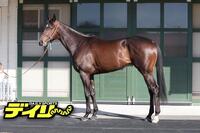 ライヒスアドラー