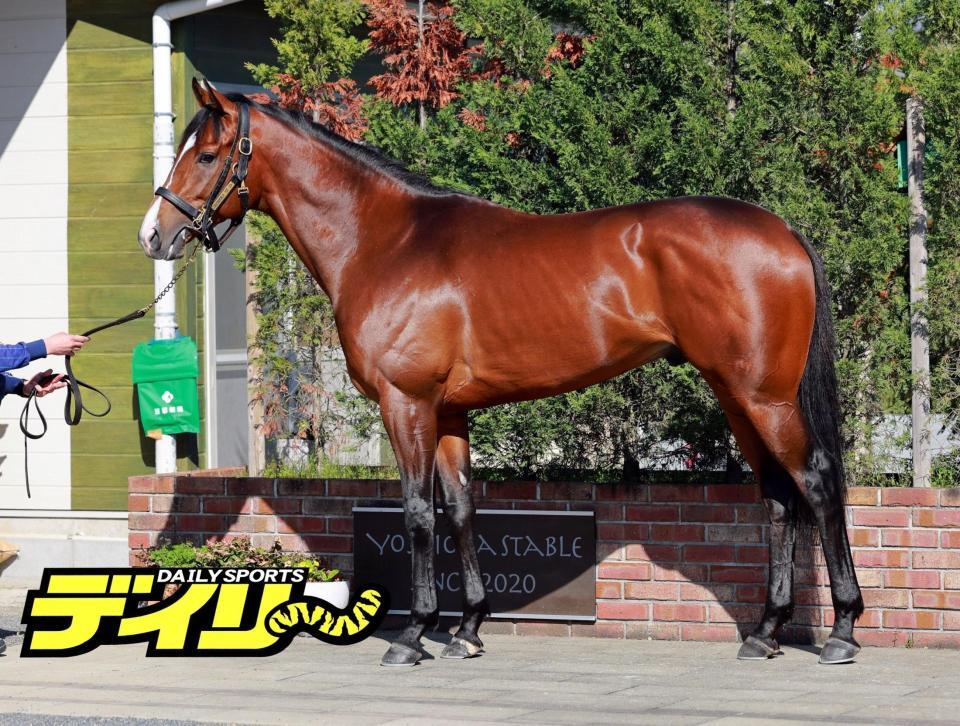 カヴァレリッツォ　評価　Ｓ