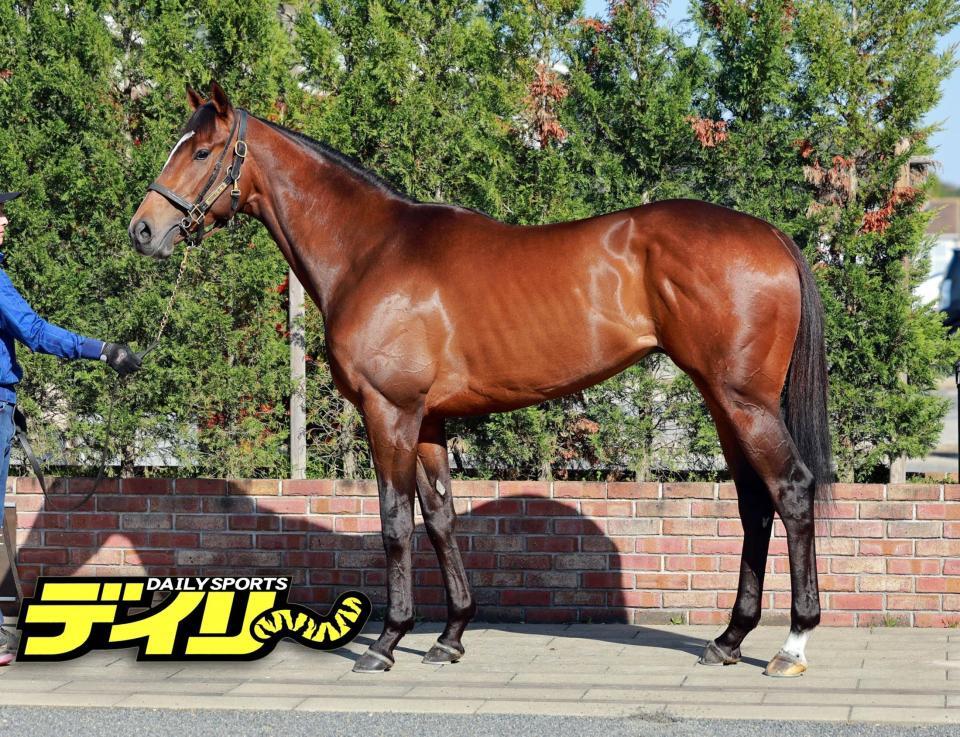 ロードフィレール　評価　Ａ