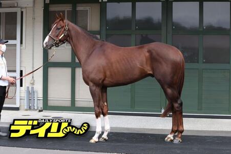 グリーンエナジー