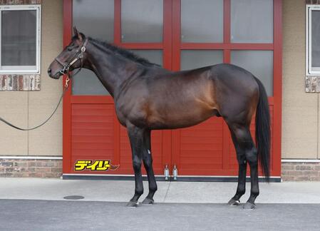 ヘデントール　評価Ａ