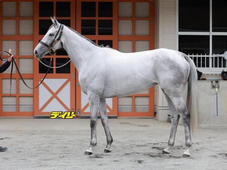 アクアヴァーナル　評価Ａ