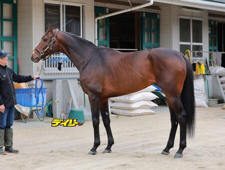 ヴェルテンヴェルク　評価Ｃ