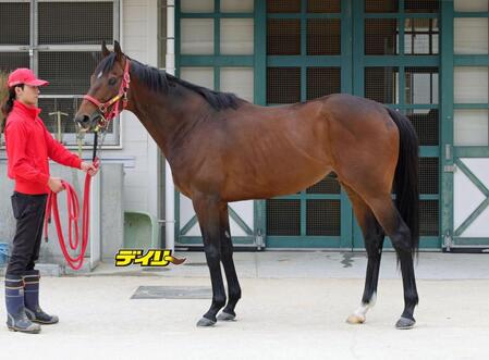 エヒト　評価Ｃ