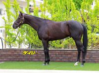 クロワデュノール