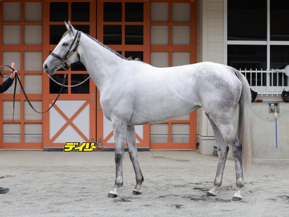 アクアヴァーナル　評価Ａ