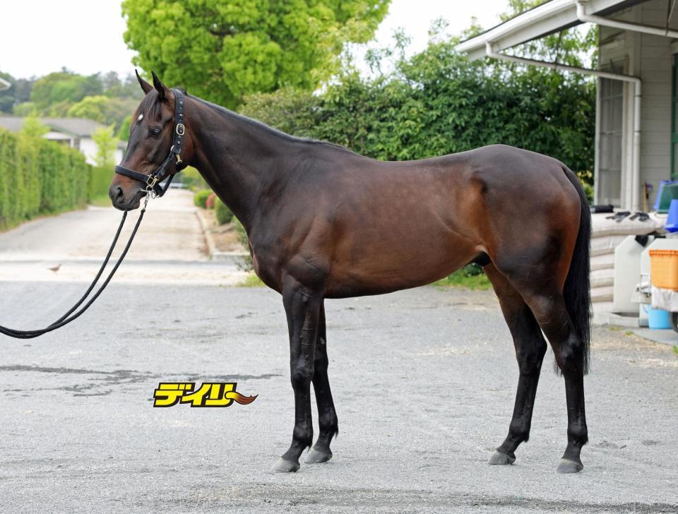 ミステリーウェイ　評価Ｃ