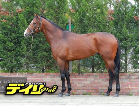カヴァレリッツオ　評価Ａ