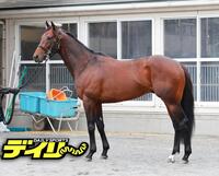 ローベルクランツ