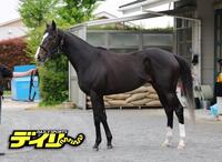 レザベーション