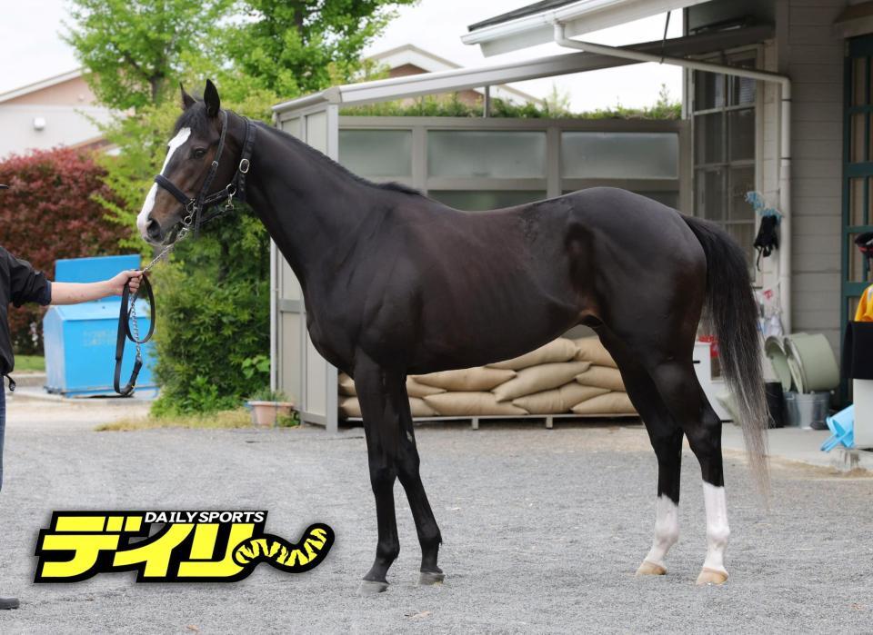 レザベーション　評価Ｃ