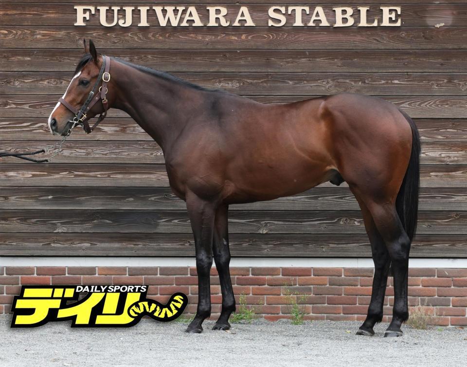 アスクイキゴミ　評価Ａ