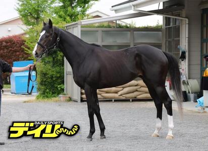 レザベーション