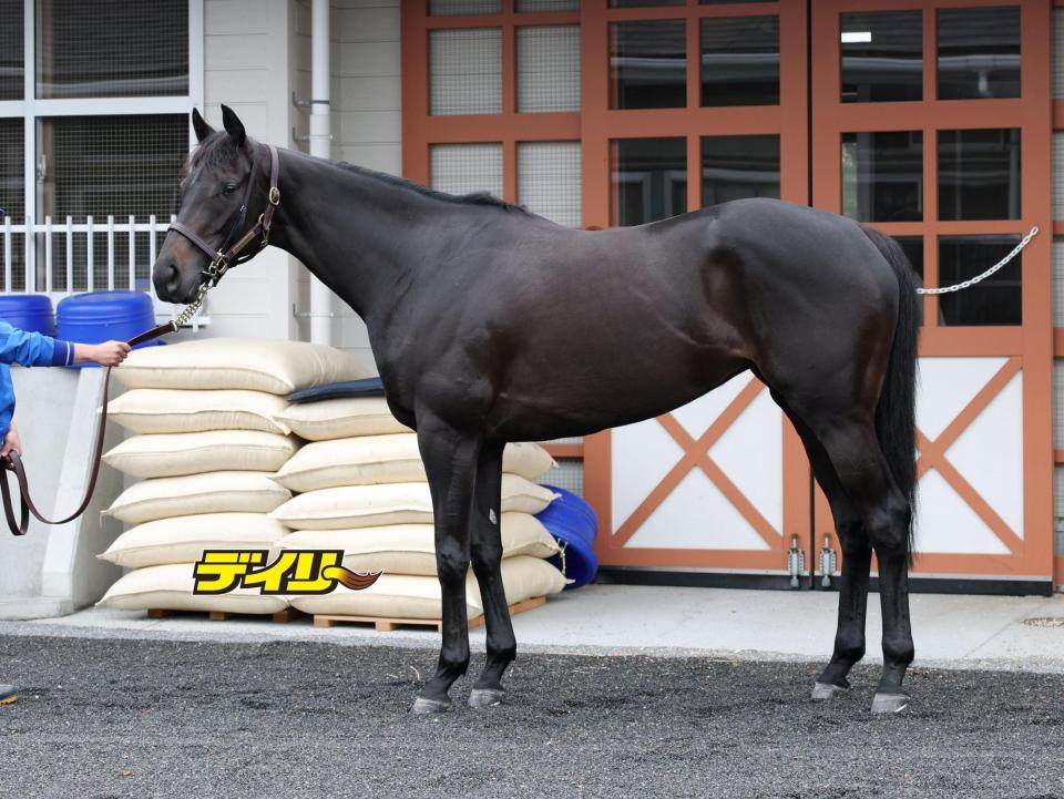 アイサンサン　評価Ｃ