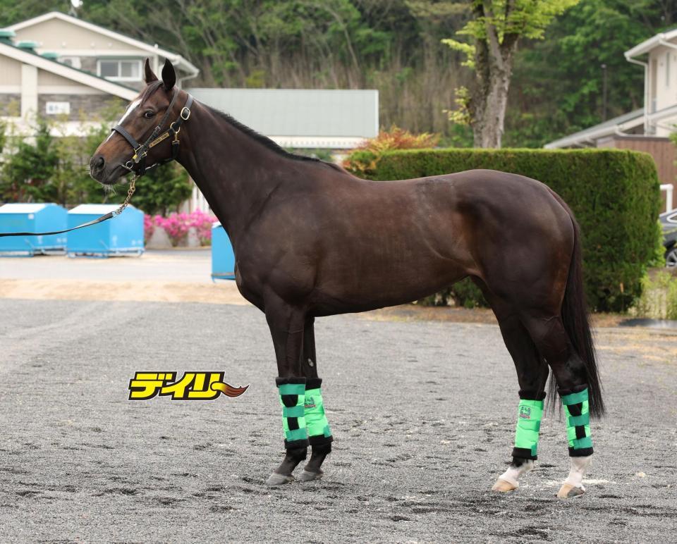 エリカエクスプレス　評価Ｂ