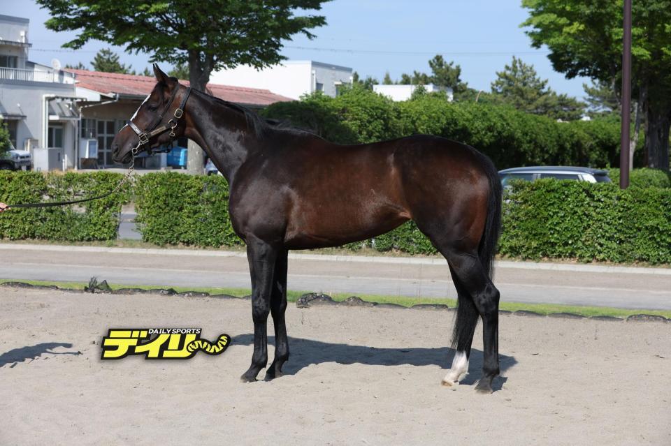 ドリームコア　評価Ｂ