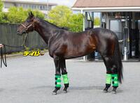 ロブチェン