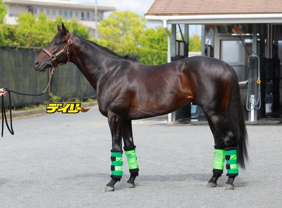 ロブチェン　評価Ｓ