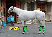 ガイアフォース