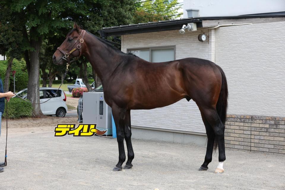 シックスペンス　評価Ｃ
