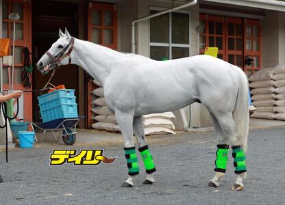 ガイアフォース