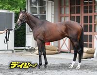 スティンガーグラス