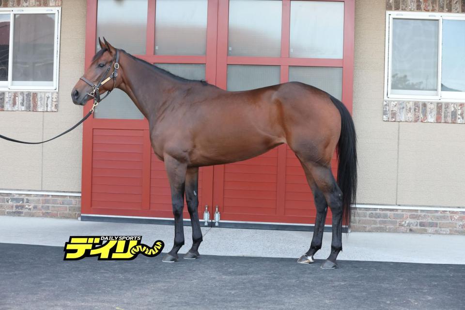 レガレイラ　評価Ａ