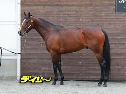マイユニバース