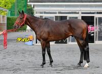 フリッカージャブ