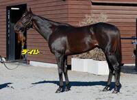 アスクエジンバラ