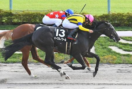 ４連勝でＪｐｎ１制覇を狙うイーグルノワール