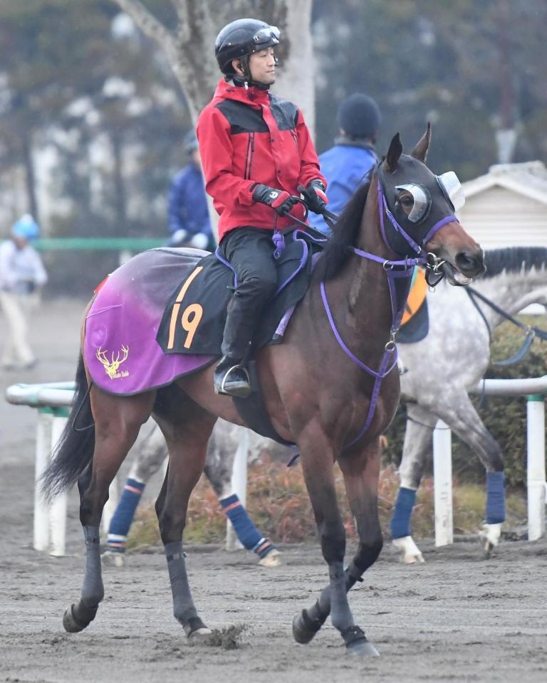 重賞初制覇を狙うイゾラフェリーチェ