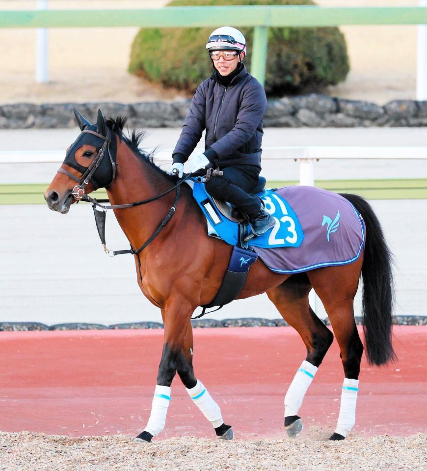 初のビッグタイトル制覇を狙うロードフォンス