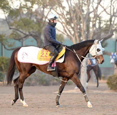 重賞連続Ｖを目指すアピーリングルック