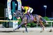 【３日　佐賀５Ｒ　佐賀皐月賞】佐賀３歳クラシック１冠目　地元では連対率１００％のサキドリトッケンら注目馬が出走！
