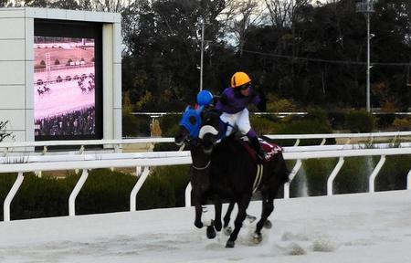 　５連勝で重賞初制覇を成し遂げたアキュートガール（右）＝撮影・中山伸治