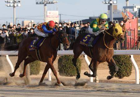 　川崎記念を制したウシュバテソーロ（右）。左は２着のテーオーケインズ