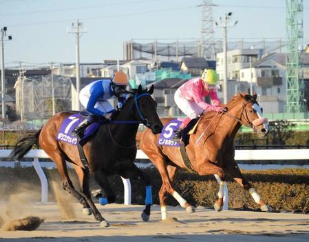 　外から差し切ったポリゴンウェイヴ（左）