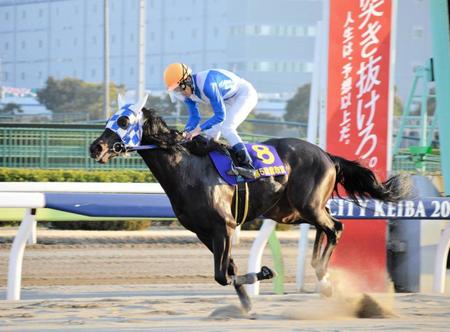 　横綱相撲で３歳初戦を飾ったヒーローコール