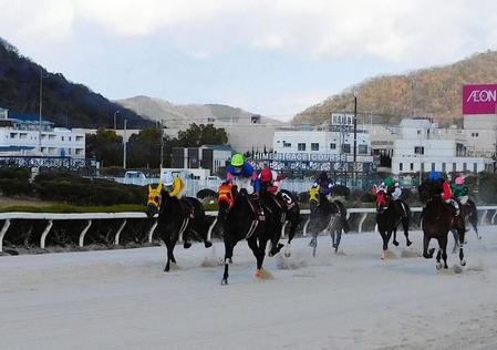 　重賞２勝目を挙げたベラジオソノダラブ（左から２頭目）＝撮影・中山伸治