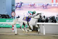 　早めスパートから直線独走のエルデュクラージュ