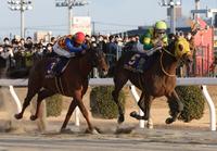 　川崎記念を制したウシュバテソーロ（右）。左は２着のテーオーケインズ