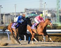 　外から差し切ったポリゴンウェイヴ（左）